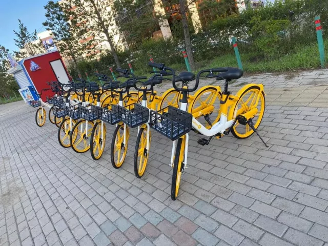 Унадаг дугуйг Улаанбаатарт унах ДҮРЭМ