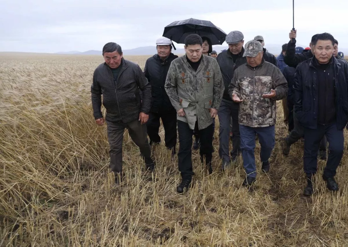 Тариалангийн талбайд мал оруулахгүй байх асуудлыг шийдвэрлэнэ