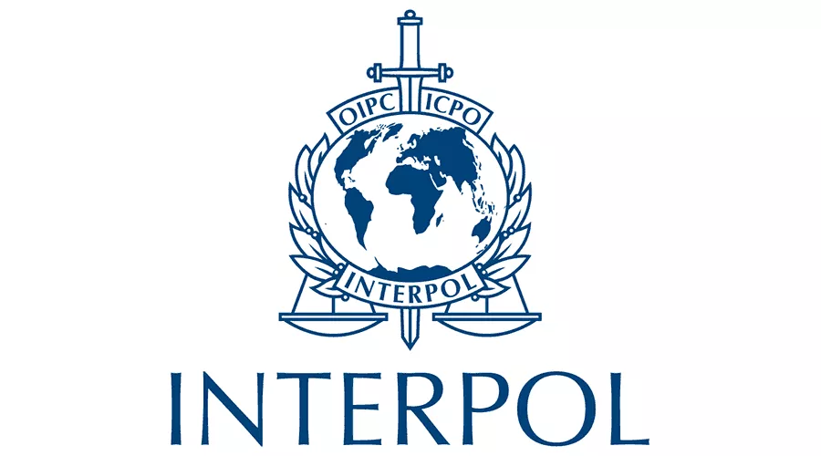 “Шувуу” ажиллагааны хүрээнд интерполын шугамаар 50 этгээдийг олж тогтоолоо