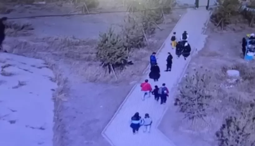 ВИДЕО: Сургуулийн гадна орчноос бүлэглэн хулгай хийж байна