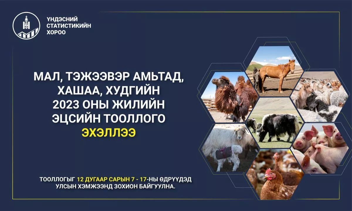 Мал, тэжээвэр амьтдын тооллого улсын хэмжээнд эхэллээ