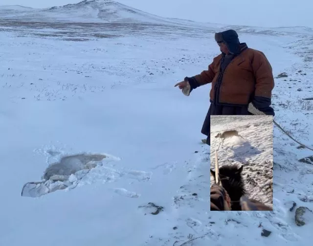 Цагаар зээрийг агнах биш аврах гэж бугуйлдсан байжээ