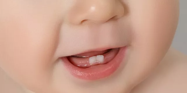 Хүнд яагаад сүүн шүд түрүүлж ургадаг вэ