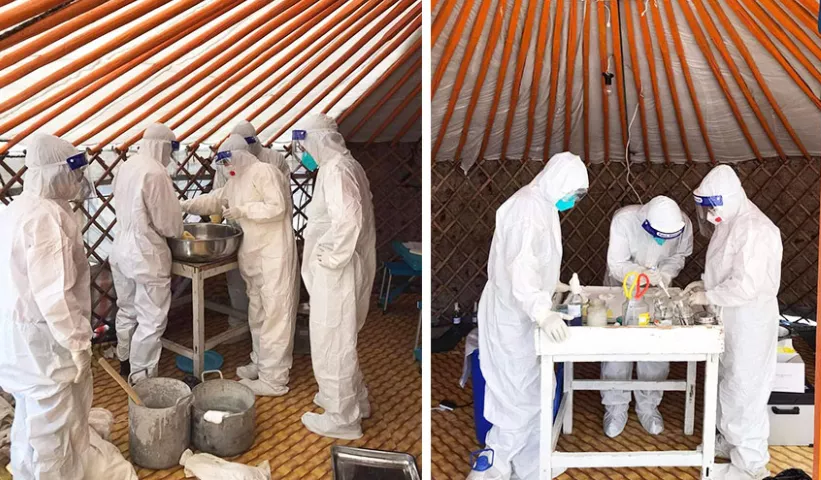 Зоонозын салбарын ажилтнуудад хөдөлмөрийн нөхцөлийн нэмэгдэл олгохоор болжээ