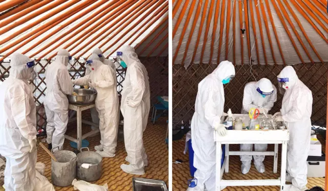 Зоонозын салбарын ажилтнуудад хөдөлмөрийн нөхцөлийн нэмэгдэл олгохоор болжээ