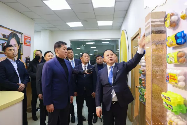 Үндэсний үйлдвэрлэгчид 2025 он гэхэд өндөгний хэрэгцээг бүрэн хангана