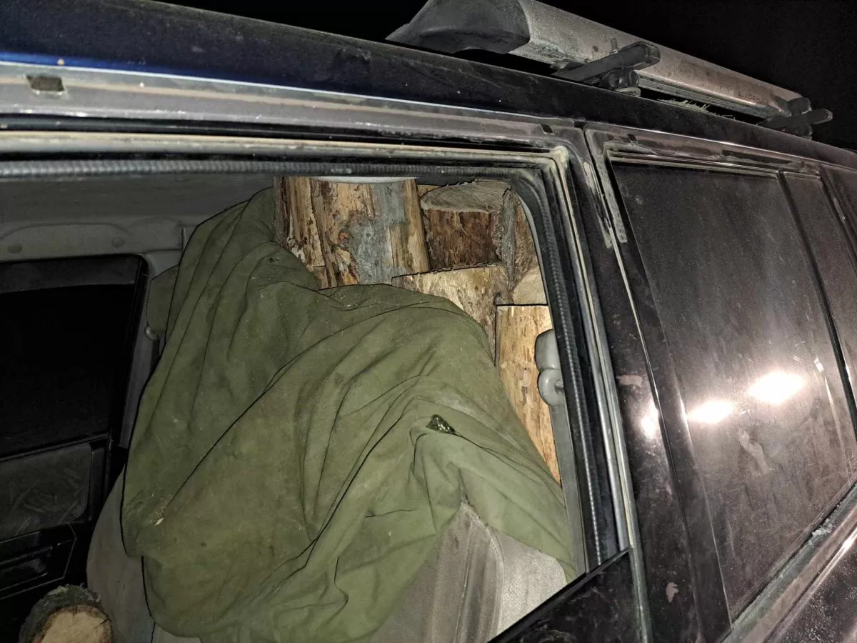 Богд уулнаас зөвшөөрөлгүй мод бэлтгэж байсныг илрүүлжээ