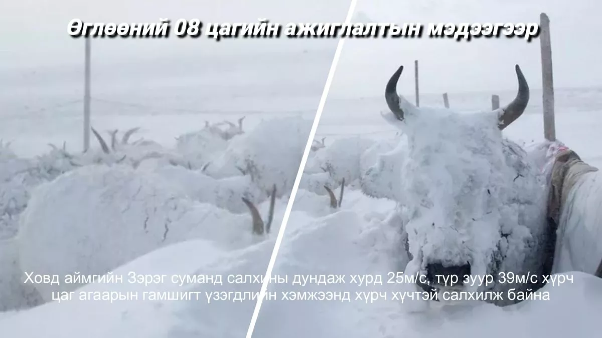 ВИДЕО: 08 цагийн ажиглалтын мэдээ
