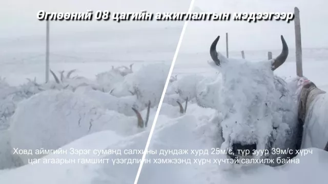 ВИДЕО: 08 цагийн ажиглалтын мэдээ