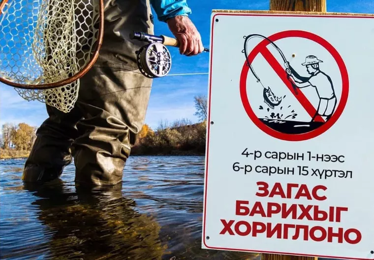 Өчигдрөөс эхлэн зургаадугаар сарын 15-ныг хүртэл загас агнахыг хориглолоо