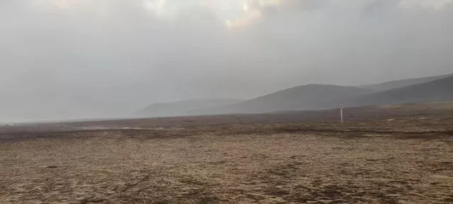 Сүхбаатар аймагт гарсан гурван хээрийн түймэрт 331 га талбай өртсөн байна