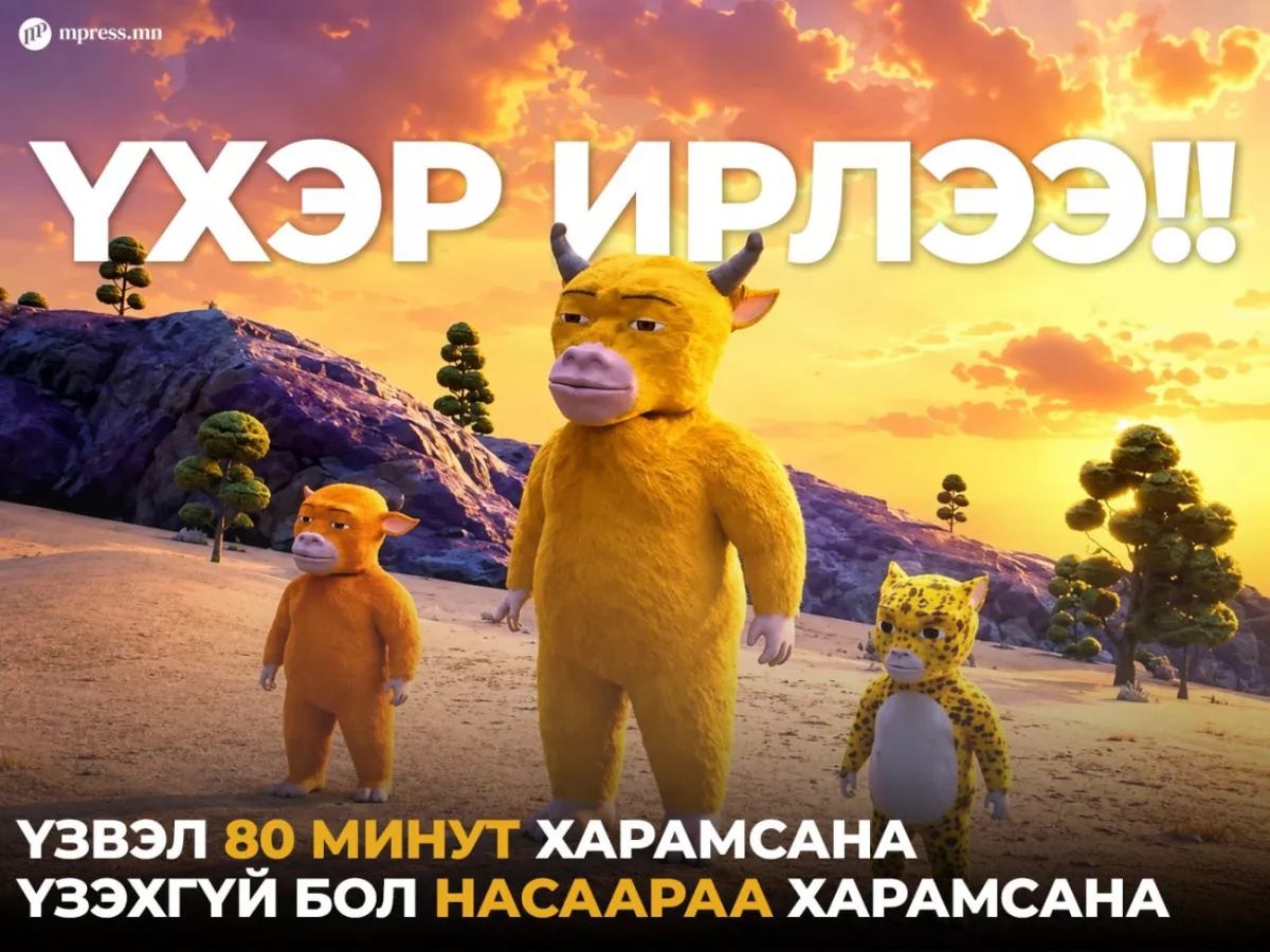 Үхэр ирлээ: Үзвэл 80 минут харамсана, үзэхгүй бол насаараа харамсана