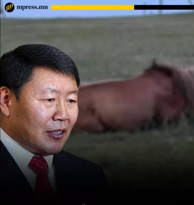 Адуу мөргөсөн Л.Чинбат өөрөө гэмтэл авчээ