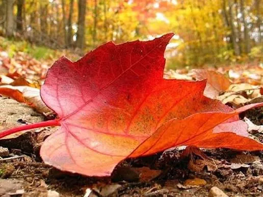 ЦАГ АГААР | Багавтар үүлтэй, бороо орохгүй