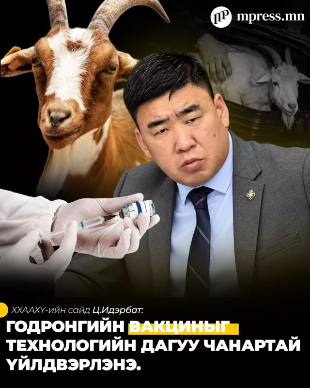 Ц.Идэрбат: Годронгийн вакциныг технологийн дагуу чанартай үйлдвэрлэнэ