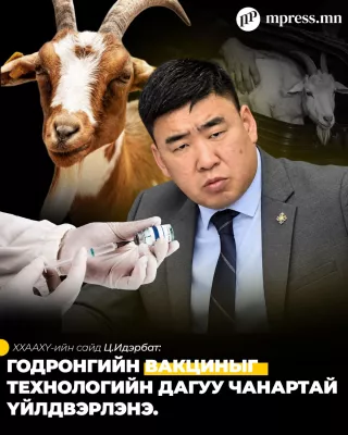 Ц.Идэрбат: Годронгийн вакциныг технологийн дагуу чанартай үйлдвэрлэнэ