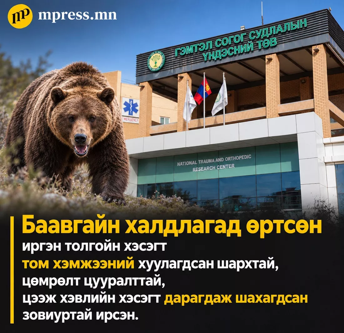 ГССҮТ | Баавгайд бариулсан эмэгтэйн биеийн байдал хүнд байна