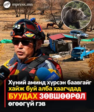 Хүний аминд хүрсэн баавгайг хайж буй алба хаагчдад буудах зөвшөөрөл ӨГӨӨГҮЙ гэв