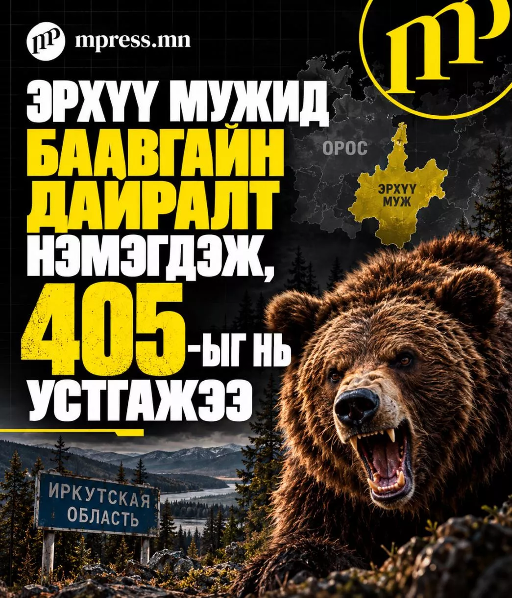 Эрхүү мужид баавгайн дайралт нэмэгдэж, 405-ыг нь устгажээ