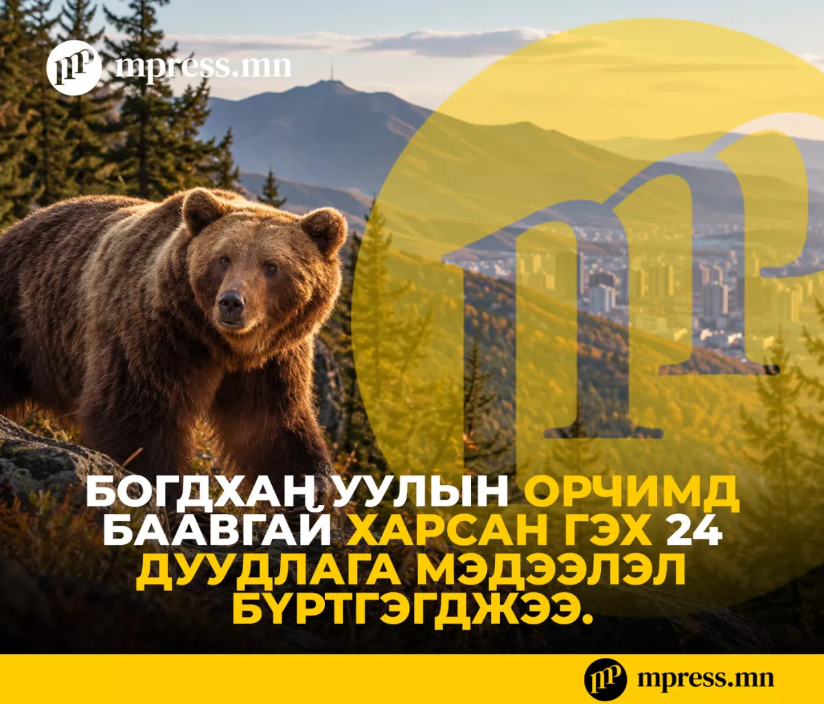 Богдхан уулын орчимд БААВГАЙ харсан гэх дуудлага мэдээлэл нэмэгдэж байна
