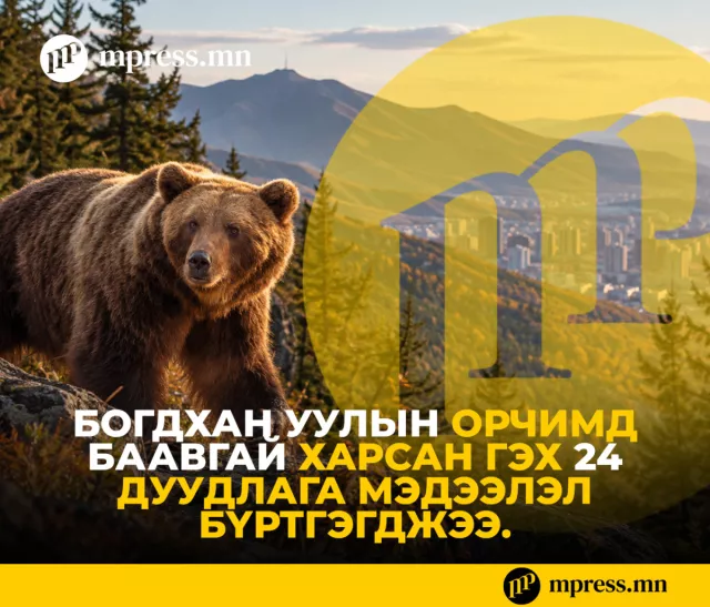 Богдхан уулын орчимд БААВГАЙ харсан гэх дуудлага мэдээлэл нэмэгдэж байна