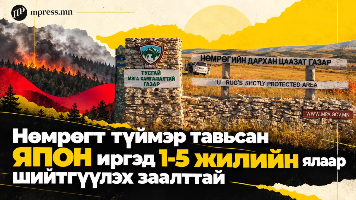 Нөмрөгт түймэр тавьсан ЯПОН иргэд 1-5 жилийн ялаар шийтгүүлэх заалттай