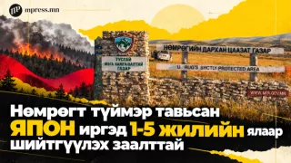 Нөмрөгт түймэр тавьсан ЯПОН иргэд 1-5 жилийн ялаар шийтгүүлэх заалттай