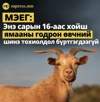 Аравдугаар сарын 16-аас хойш ямааны ГОДРОН өвчний шинэ тохиолдол бүртгэгдээгүй