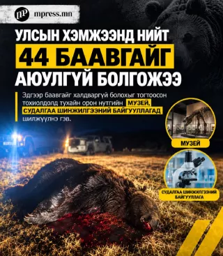 Устгасан баавгайг музей, судалгаа шинжилгээний байгууллагад шилжүүлнэ гэв