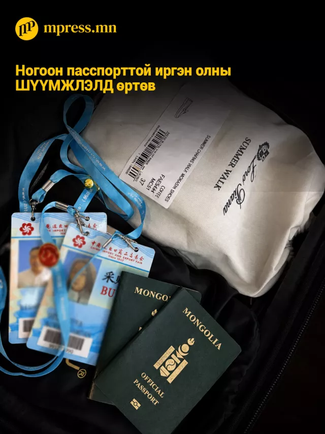 Ногоон пасспорттой иргэн олны ШҮҮМЖЛЭЛД өртөв