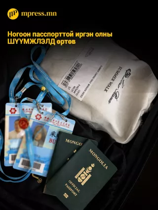 Ногоон пасспорттой иргэн олны ШҮҮМЖЛЭЛД өртөв