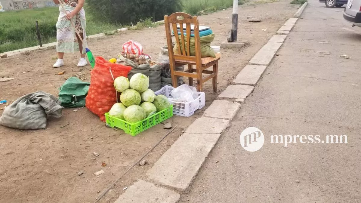 Хүнсний ногооны тонн тутамд 100 мянган төгрөгийн урамшуулал олгоно