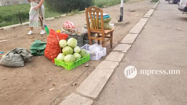 Хүнсний ногооны тонн тутамд 100 мянган төгрөгийн урамшуулал олгоно