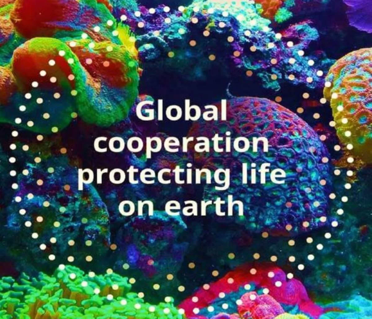 Өнөөдөр “Дэлхийн озоны давхаргыг хамгаалах өдөр“ байна