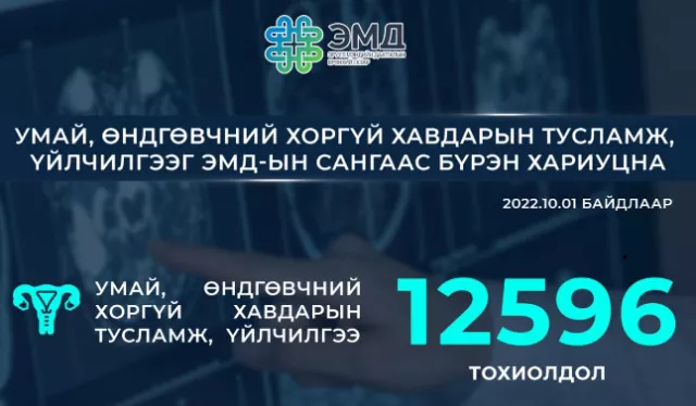 Умай, өндгөвчний хоргүй хавдрын эмчилгээний 85 хувийг ЭМД-аас хөнгөлнө