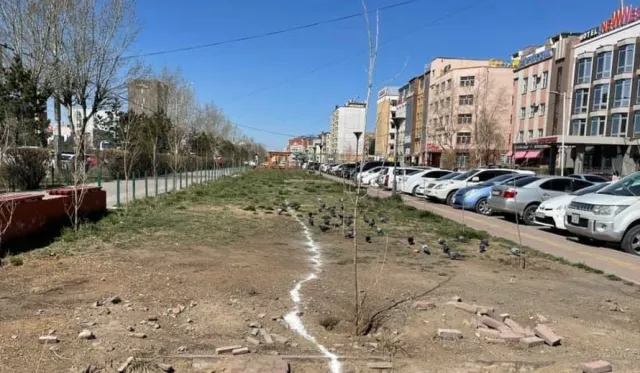 10 дугаар хорооллоос Сүлжмэлийн үйлдвэр хүртэлх шугамыг шинэчлэснээр 20-25 жил засвар хийхгүй