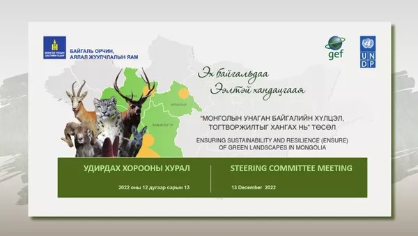 “Монголын унаган байгалийн хүлцэл, тогтворжилтыг хангах нь” төслийн төлөвлөгөөг баталлаа