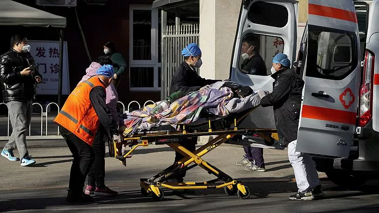 ХЯТАД: Өдөрт 20-30 цогцос чандарлаад ч дийлэхгүй байна