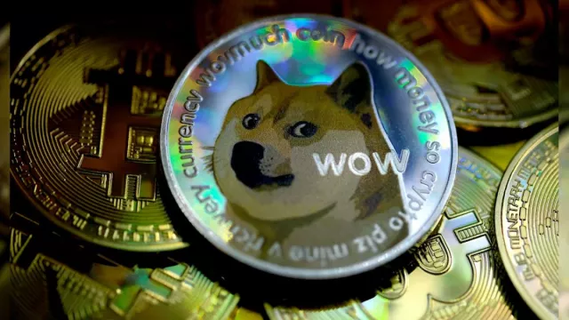 “Doge” мемийн бэлгэ тэмдэг нохой цусны хорт хавдартай болжээ