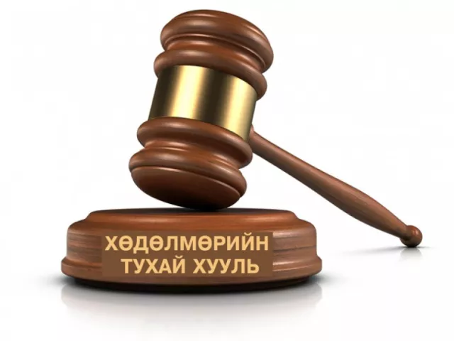 Хөдөлмөр эрхэлж буй хүн бүр хуулиар хамгаалагдах боломжтой боллоо