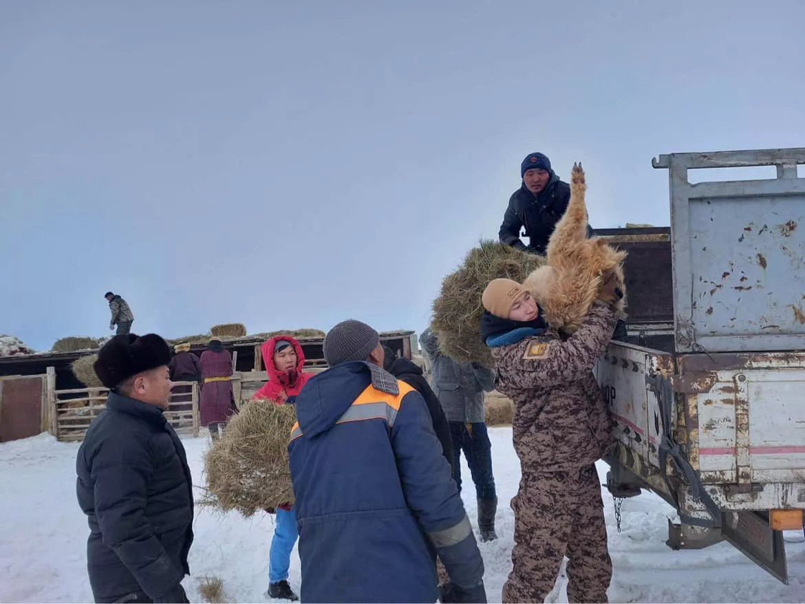 Өвөлжилт хүндэрсэн сумдын айлуудыг нүүлгэхэд цэргийнхэн дэмжлэг үзүүлж байна
