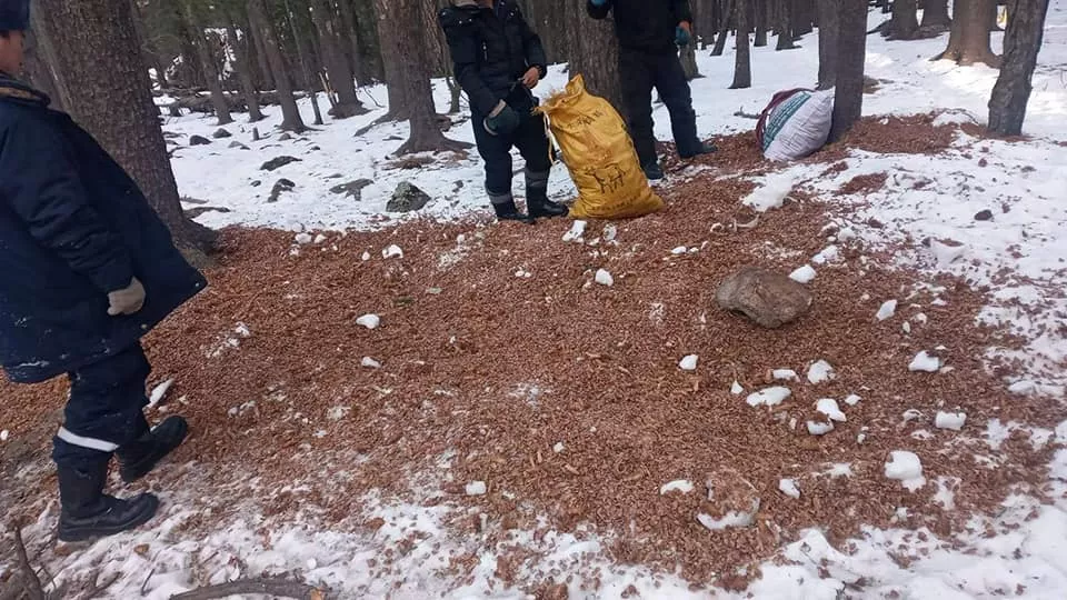 Архины хамааралтай иргэдийг самарт авч явж хүчээр хөдөлмөрлүүлдэг байсан этгээдүүдийг баривчилжээ
