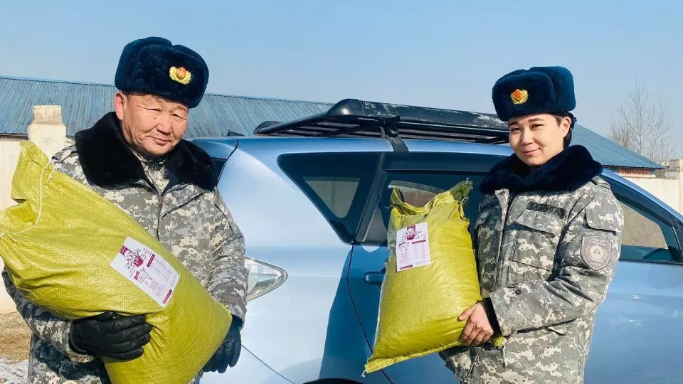 Балу, Марта нарт Монголд үйлдвэрлэсэн “Кира папс“ нэрийн хоолыг илгээжээ