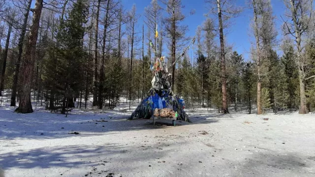 Бурхан Халдун уулын ойр орчмыг цэвэрлэжээ