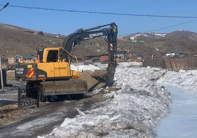 СХД-т 10 орчим км газарт халиа, дошин үүсчээ
