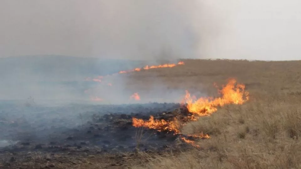 Он гарсаар найман аймгийн 17 суманд 23 удаагийн ой, хээрийн түймэр бүртгэгдээд байна