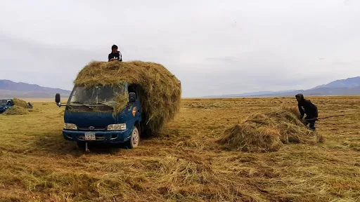 Ургац, хадлан тэжээлийн үед ачаа тээвэрлэх журам