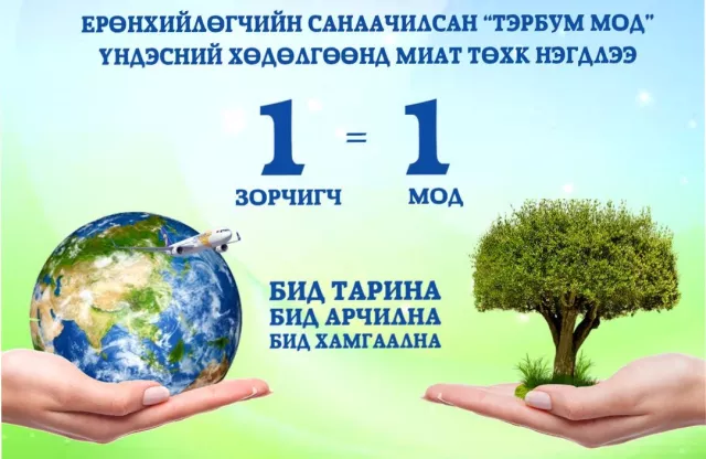 МИАТ: Бид зорчигч бүрийнхээ тоогоор МОД ТАРИНА