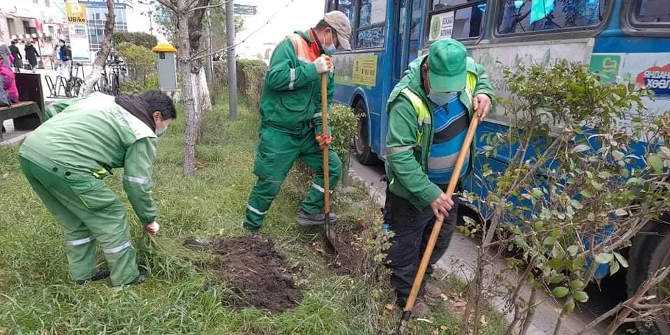 Ногоон байгууламжийг устгаагүй шилжүүлсэн