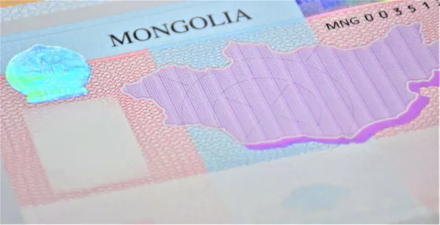 Монгол Улсад 16 мянга гаруй гадаадын иргэн оршин сууж байна